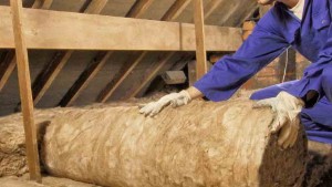 adaptacije_izolacija